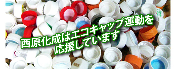 �G�R�L���b�v